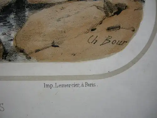 Bergere des Garniers Thiers Auvergne France Orig Lithografie Charles Bour 1860