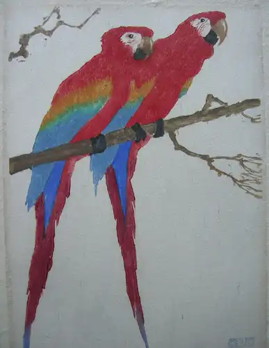 Martin Erich Philip (1887-1978) Rote Aras auf Ast Farbholzschnitt signiert  1908
