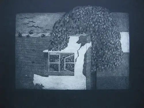 Baumbewachsenes Haus Orig. Radierung Probdruck  unleserl. signiert 1970