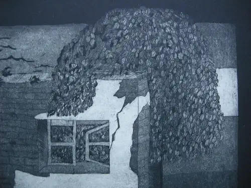 Baumbewachsenes Haus Orig. Radierung Probdruck  unleserl. signiert 1970