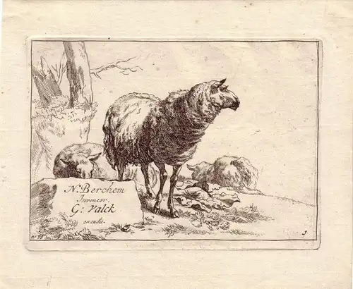 Gerard Valck nach Berchem Schafe unter Baum Orig Kupferstich um 1700