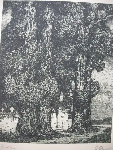 Mächtige Bäume am Friedhof Aquatinta-Radierung Jugendstil 1910 signiert