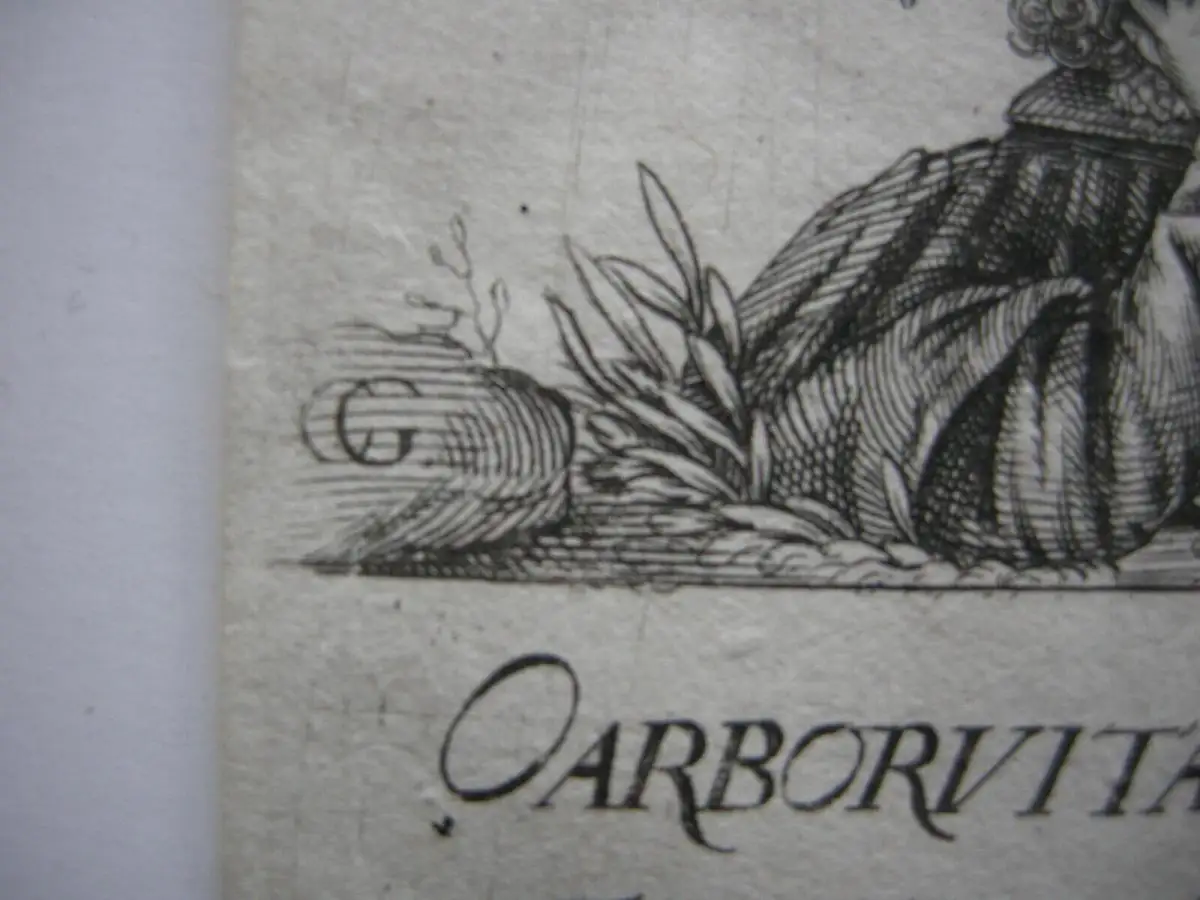 Arbor Vitae Christus am Myrrhebaum Lebensspender Radierung 1650 Barock C. Grale 3