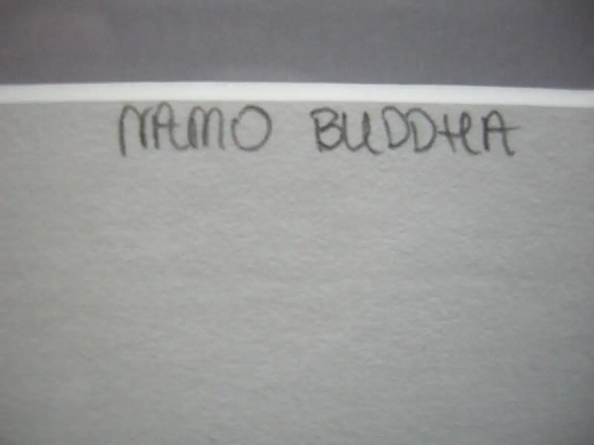 Matthieu Ricard Namo Buddha Kloster Nepal Farbfotographie Yellow Korner 2009 sig 5