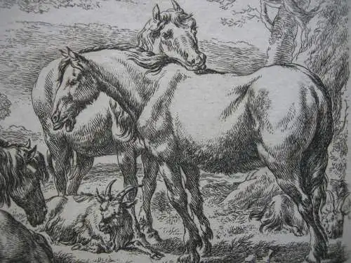 Nicolaes Berchem (1620-1683) Pferde auf der Koppel Orig Kupferstich um 1675