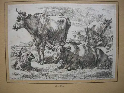 Nicolaes Berchem (1620-1683) Kühe Schafe auf der Weide Orig Kupferstich um 1675