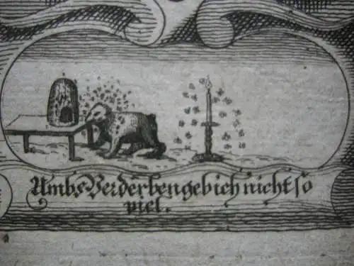 Albert Fromme (+1460) 54. Herzog von Bayern Portrait mit Emblem Kupferstich 1750