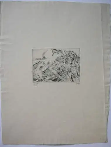 Willi Geiger (1878-1971) Ochsengespann in asiat Landsch Radierung 1930 signiert