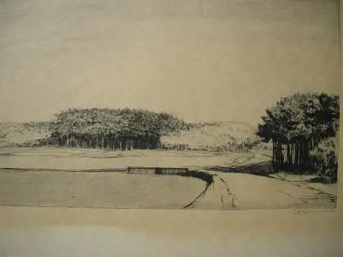 Adolf Schinnerer (1876-1949) Seenlandschaft Orig Radierung 1904 signiert