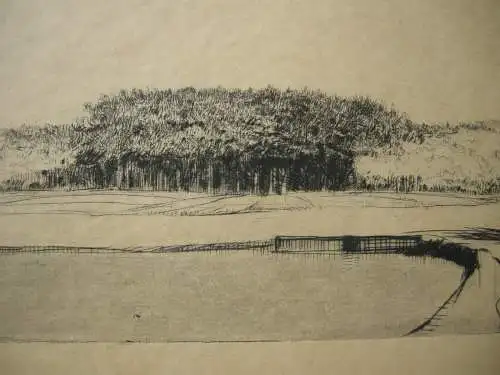Adolf Schinnerer (1876-1949) Seenlandschaft Orig Radierung 1904 signiert