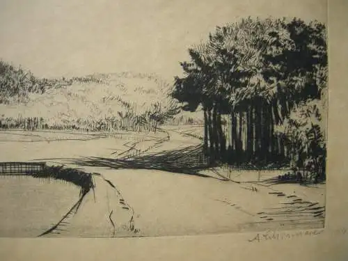 Adolf Schinnerer (1876-1949) Seenlandschaft Orig Radierung 1904 signiert