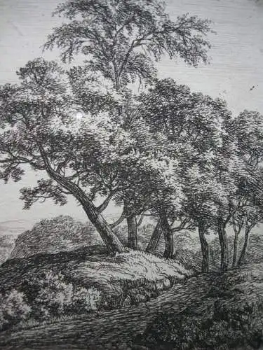 Anthonie Waterloo (c. 1610-1690) Landschaft mit Kuhherde Orig. Radierung 1650
