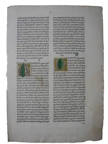 Inkunabelblatt Ptolomaeus Cosmographia  3 kolor Initiale Ulm Joh. Reger 1486