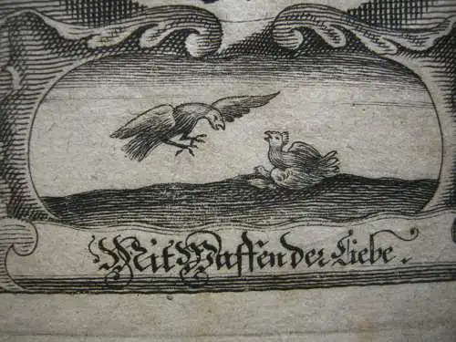 Agnes von Poitou (um 1025-1077) Herzogin Bayern  Kaiserin Emblem Kupferst 1750