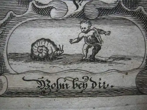 Sigismund (+1501) 55. Herzog von Bayern Portrait mit Emblem Kupferstich 1750