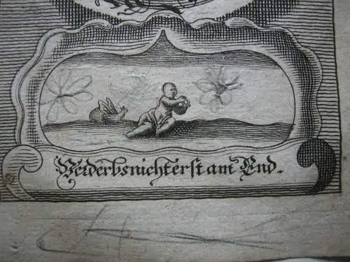 Konrad (+1055) 35. Herzog von Bayern Portrait mit Emblem Kupferstich 1750