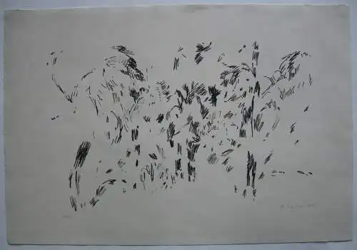 Oskar Koller (1925-2004) Bäume Lithographie schwarz weiß 2/16 igniert 1967