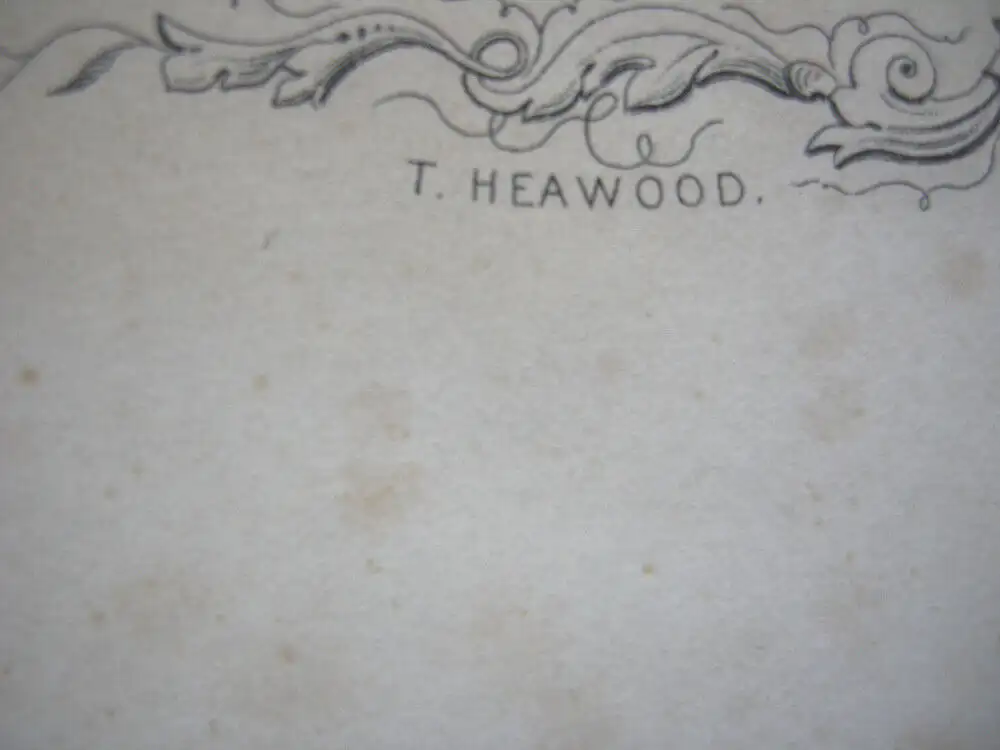 München Vogelschau-Ansicht kolorierter Stahlstich 1850 Payne nach Heawood 8