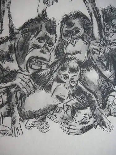 Kurt Meyer-Eberhardt (1895-1977) Fünf Schimpansen Orig. Lithografie signiert