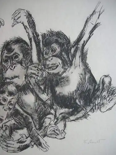 Kurt Meyer-Eberhardt (1895-1977) Fünf Schimpansen Orig. Lithografie signiert