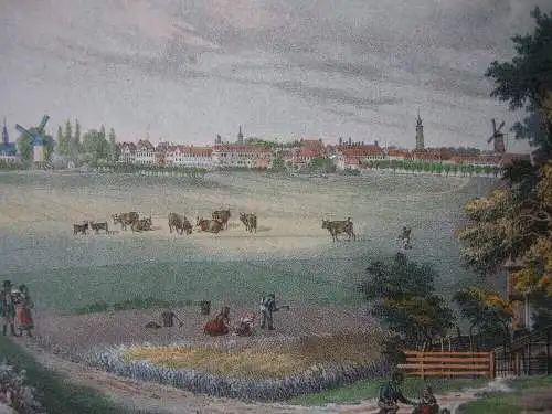 Glückstadt Schleswig Holstein Gesamtansicht Lithografie um 1860 R. Bürger