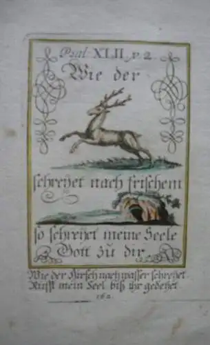 Alkolorierte geistliche Emblemkupferstiche Bodenehr Hirsch Maccabeer Rebus 1699