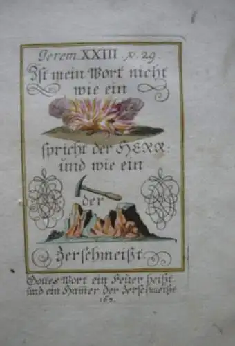 Alkolorierte geistliche Emblemkupferstiche Bodenehr Hirsch Maccabeer Rebus 1699