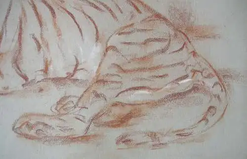 Fritz von Heider (1868-1933) Tiger-StudienZeichnung Rötel um 1900 signiert