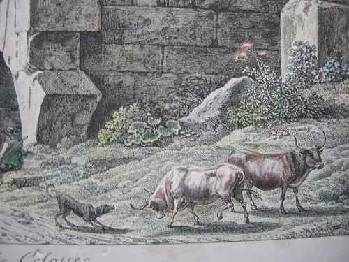 Joh. Chr. Reinhart (1761-1847) Nel Colosseo altkolor Orig Radierung 1792