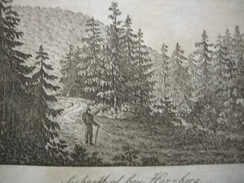 Stammbuchblatt Silbertal bei Herzberg Harz Orig. Kupferstich 1820 Niedersachsen