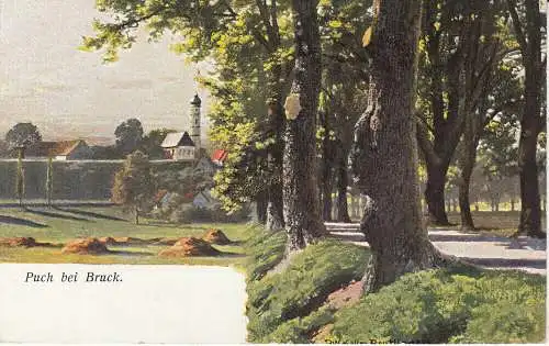 AK Puch Füstenfeldbruck Oberbayern  ungel ca 1915