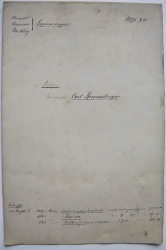 Flurkarte Gemarkung Sigmaringen MKXXI Remensberger Orig. Lithografie 1844 Lutz