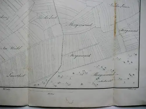 Flurkarte Gemarkung Sigmaringen MKXXI Remensberger Orig. Lithografie 1844 Lutz