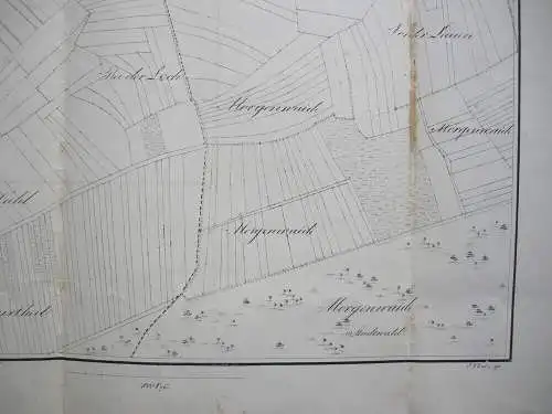 Flurkarte Gemarkung Sigmaringen MKXXI Remensberger Orig. Lithografie 1844 Lutz