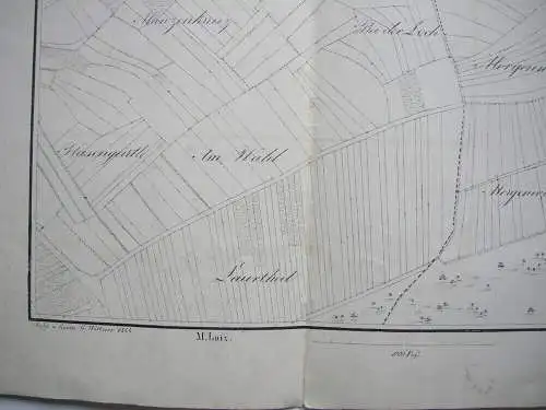 Flurkarte Gemarkung Sigmaringen MKXXI Remensberger Orig. Lithografie 1844 Lutz