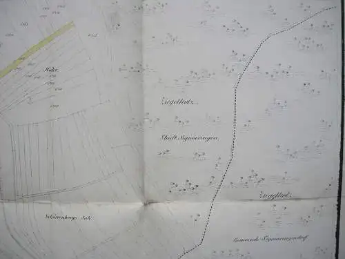 Flurkarte Gemarkung Sigmaringen MK XX Remensberger Orig. Lithografie 1844 Lutz