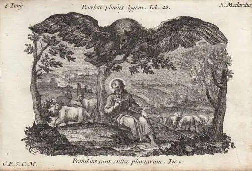 Gebrüder Klauber Sankt Medardus von Noyon Bischof Heiliger Kupferstich 1750