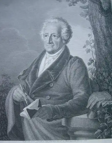 Johann Wolfgang Goethe Portrait Halbfigur Orig Kupferstich Schwerdgeburth 1832