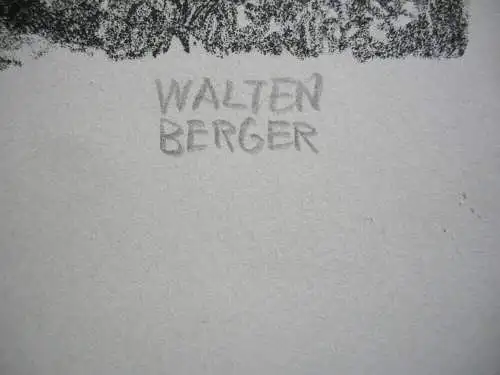 Hans Waltenberger (1883-1960) Bamberg Feldhüterhäuschen Lithografie signiert