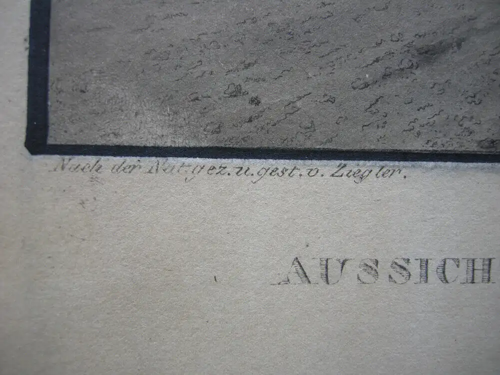 Wien Aussicht vom Prater altkolorierte Umrissradierung 1840 Österreich Ziegler 4