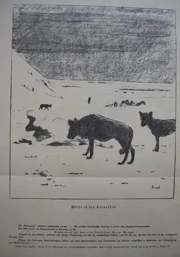 Max Liebermann (1847-1935) In Ostpreußen Orig Lithografie 1916 Kriegszeit A Gaul