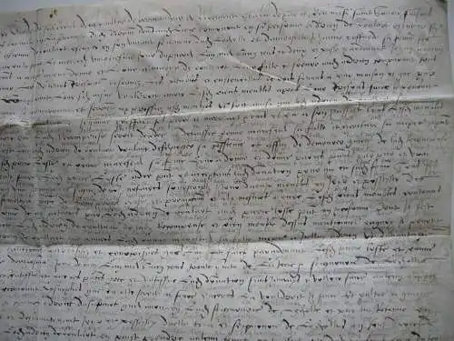 Donation Marye de Boulard a Pierre Lhotte Manuscrit Parchemin 1544 France