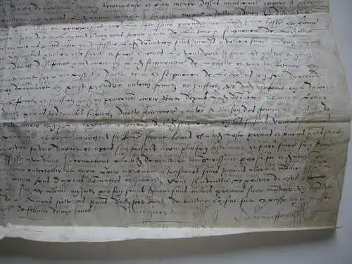 Donation Marye de Boulard a Pierre Lhotte Manuscrit Parchemin 1544 France