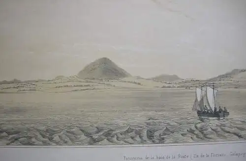 Panorama Floriana Galapagos Orig. Lithografie Sabatier 1840 Voyage Venus