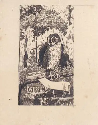 Ex Libris Vorzeichnung Corpus Juris Eule Waage Schwert Orig Tuschzeichnung 