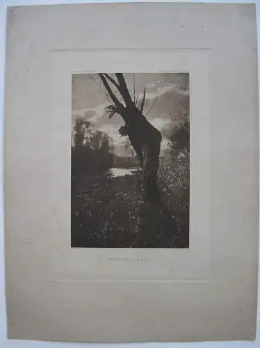 Heinrich Kühn (1866-1944) Hebstabend am Moor Fotogravüre 1897