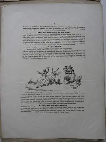 Wilhelm Gail Erinnerungen aus Spanien Stierkampf Corrida Text 1837