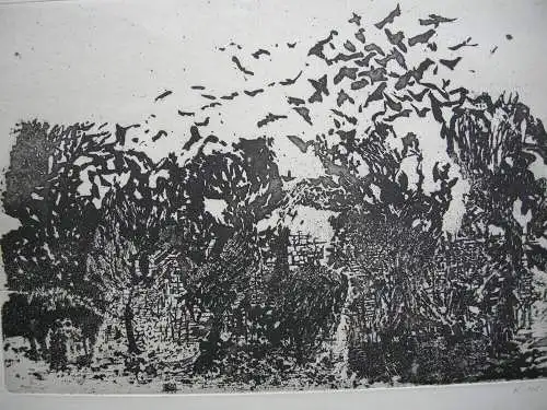 Karsten Hein (1937) Kräheneinfall Orig. Radierung signiert 1961 signiert