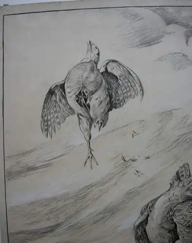 Joseph Dahlem (1872-1955) Rebhühner Sturzflug Lavierte Bleistiftzeichn sign 1927
