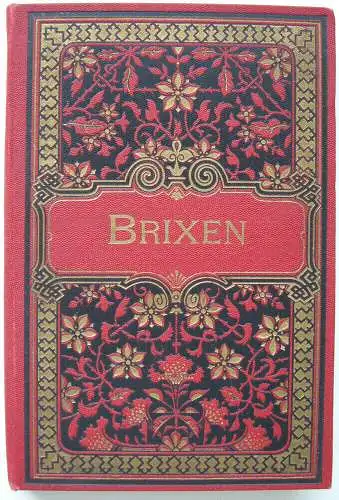 Brixen Südtirol Italien Leporello mit 12 Orig. Fotografien 1908 Alto Adige 